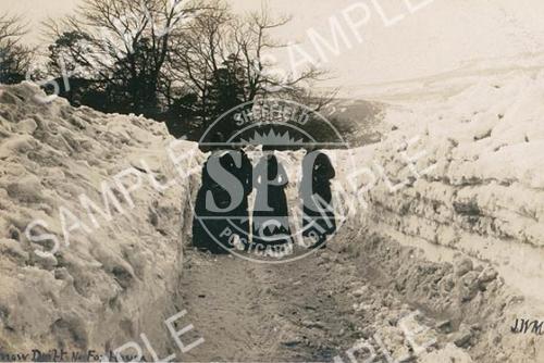 spc00135: Snow Drift Nr. Fox House