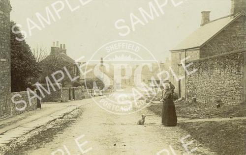 Pilsley Nr. Bakewell, Derbyshire (2) (Woman and Dog)
