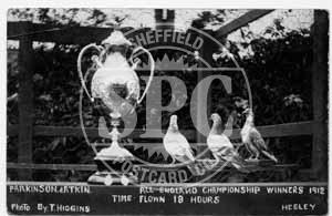 Championship Pigeons, Heeley, Sheffield