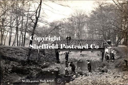 spc609: Millhouses Park 2725 (children playing in stream & on wooden bridge)