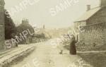 spc00143: Pilsley Nr. Bakewell, Derbyshire (2) (Woman and Dog)