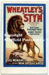 spc587: Wheatley\'s Stym - Lion